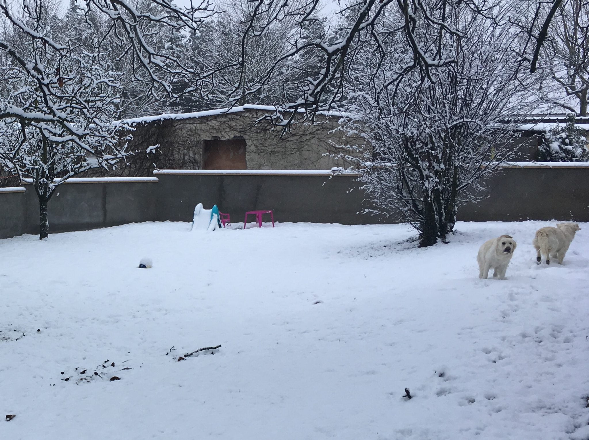 l - Elevage et Pension sous la neige