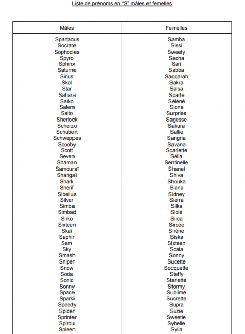 Noms Originaux Pour Chiens Commençant Par "s" Pour Mâles Et Femelles